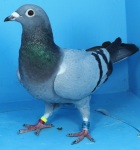 IMG_3714.GB21N12801JPG