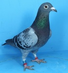 IMG_3715.GB21N12819JPG