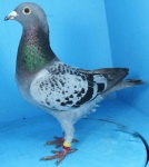 IMG_3722.GB21N12793JPG