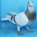 IMG_3737-NWHU18R6330A